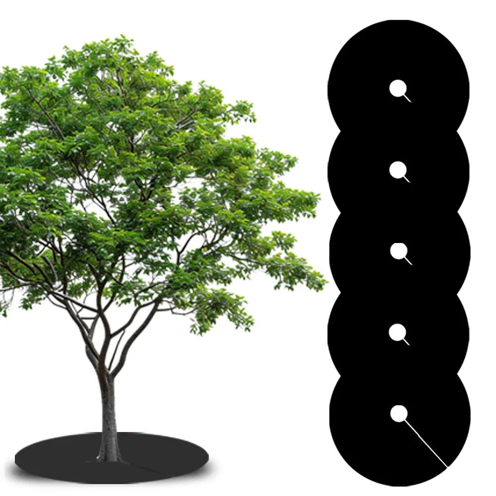 Toile de Paillage - RootCover™ - Noir