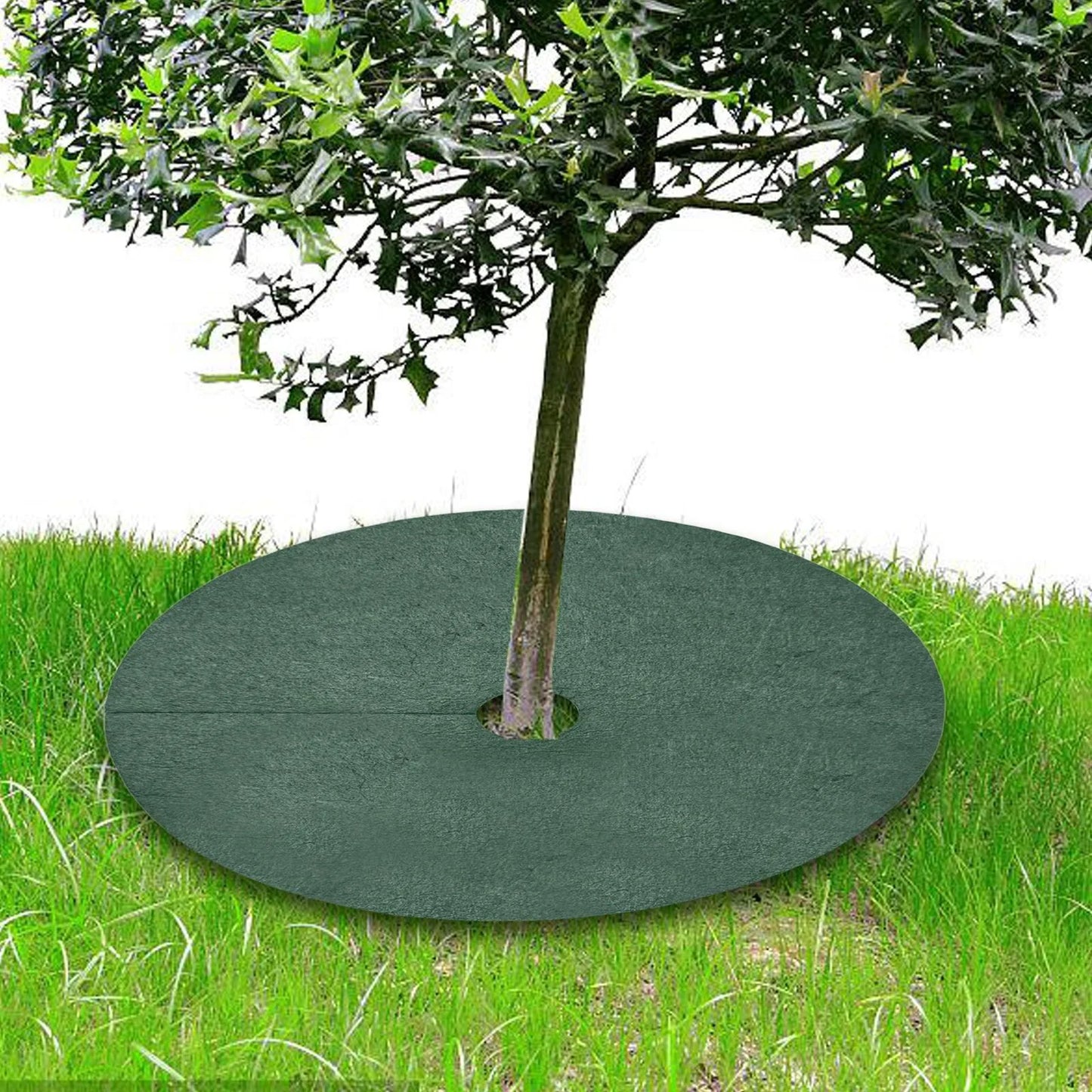 Toile de Paillage - RootCover™ - Vert