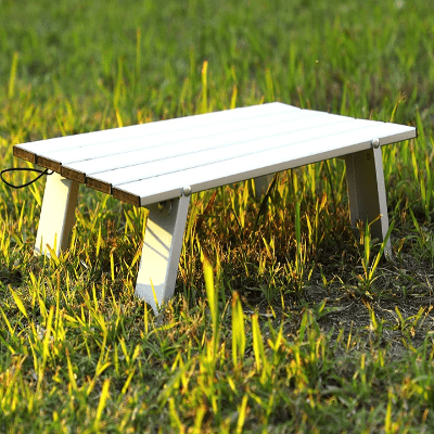 Table de jardin - MiniCampingTable™ - Argenté